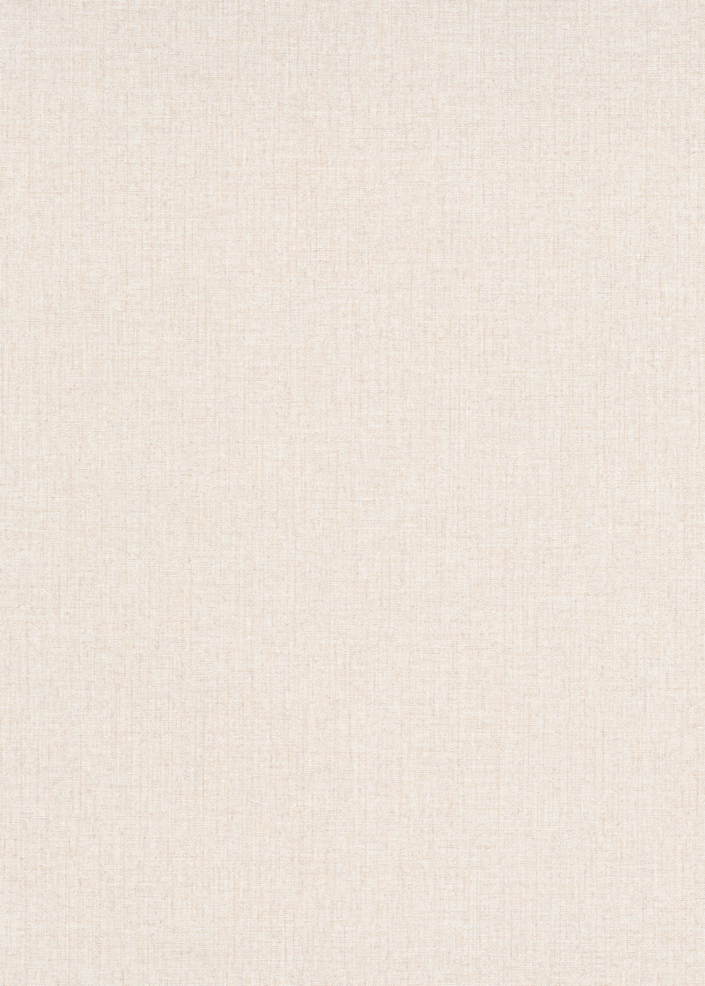 Erismann Vliestapete Code Nature beige 1021502