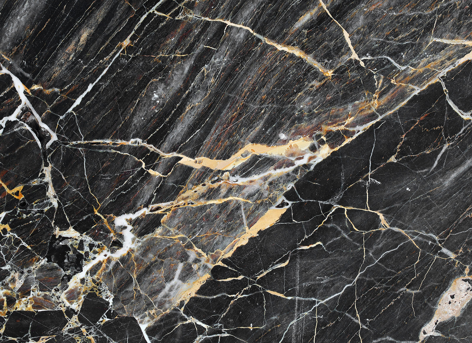 AS Fototapete Designwalls BlackGoldMarble DD118762