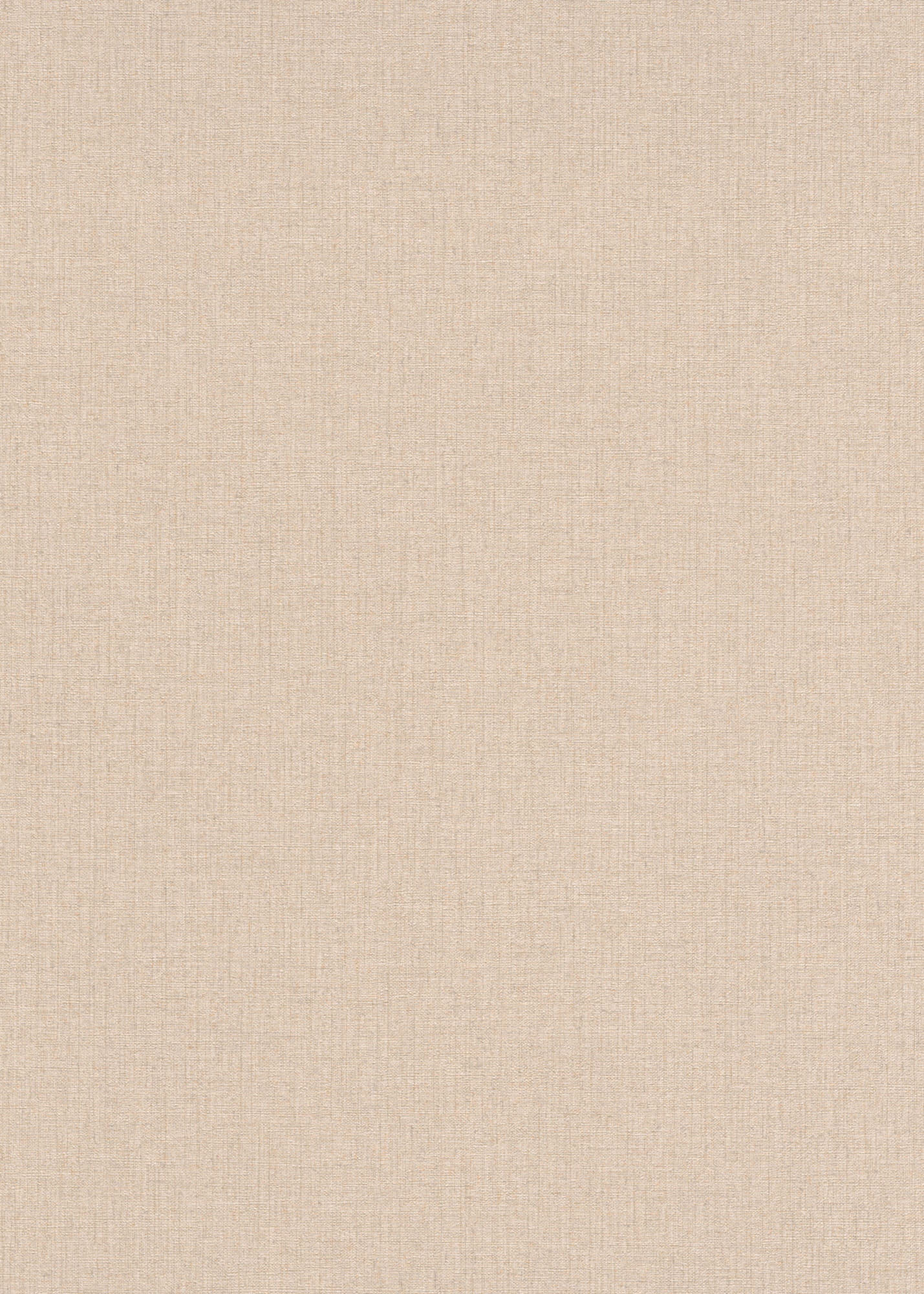 Erismann Vliestapete Code Nature beige 1021505