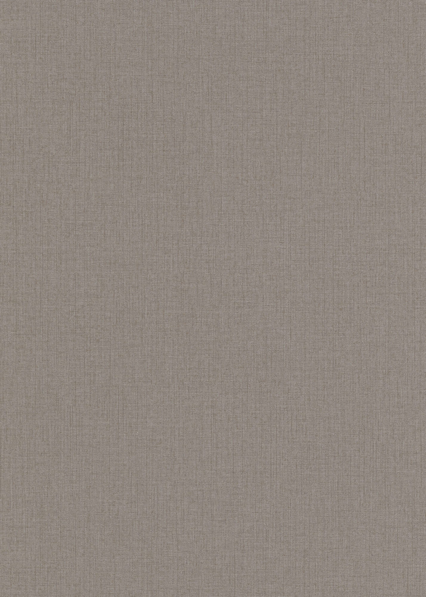 Erismann Vliestapete Code Nature taupe 1021537