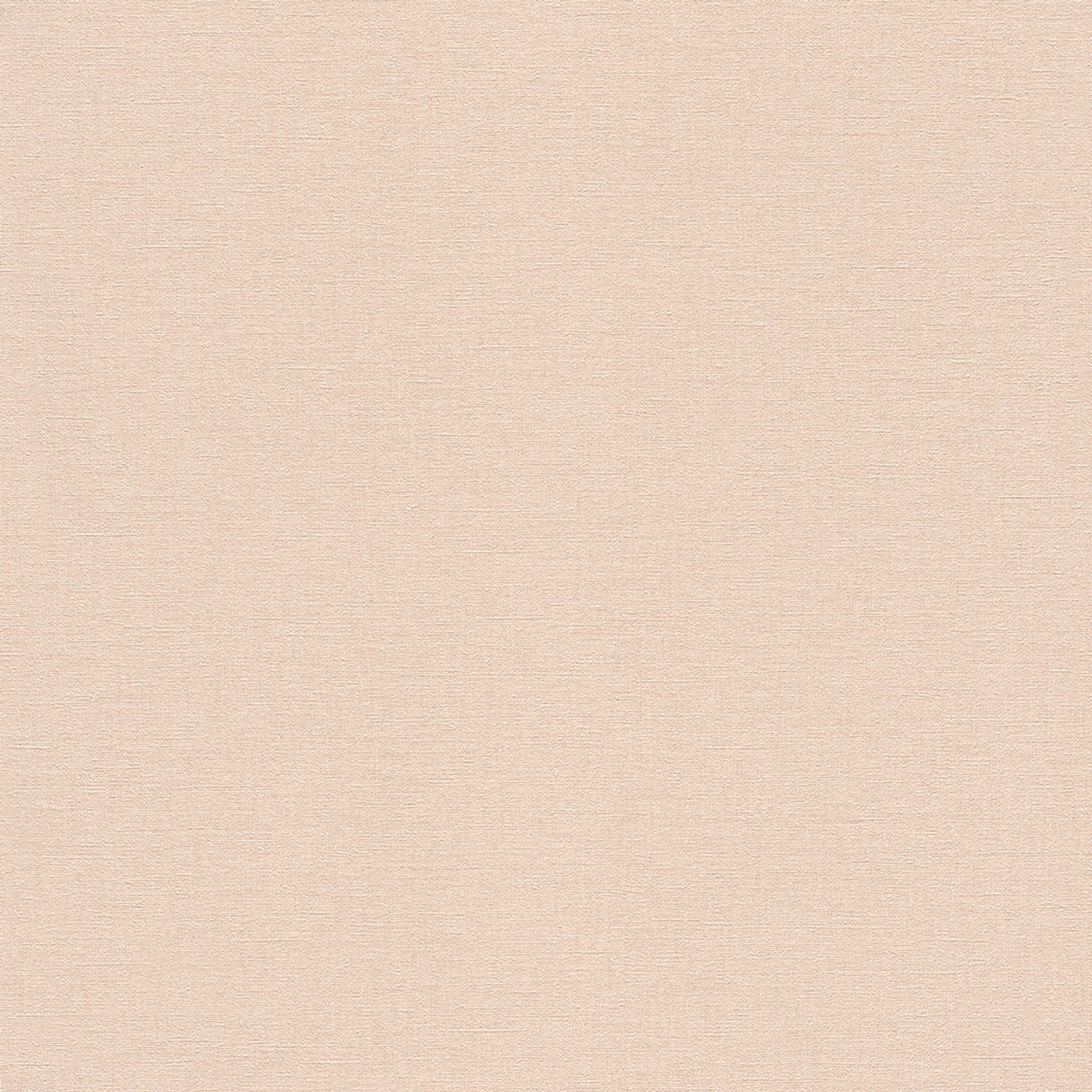 Rasch Vliestapete Country Charme Beige 448559