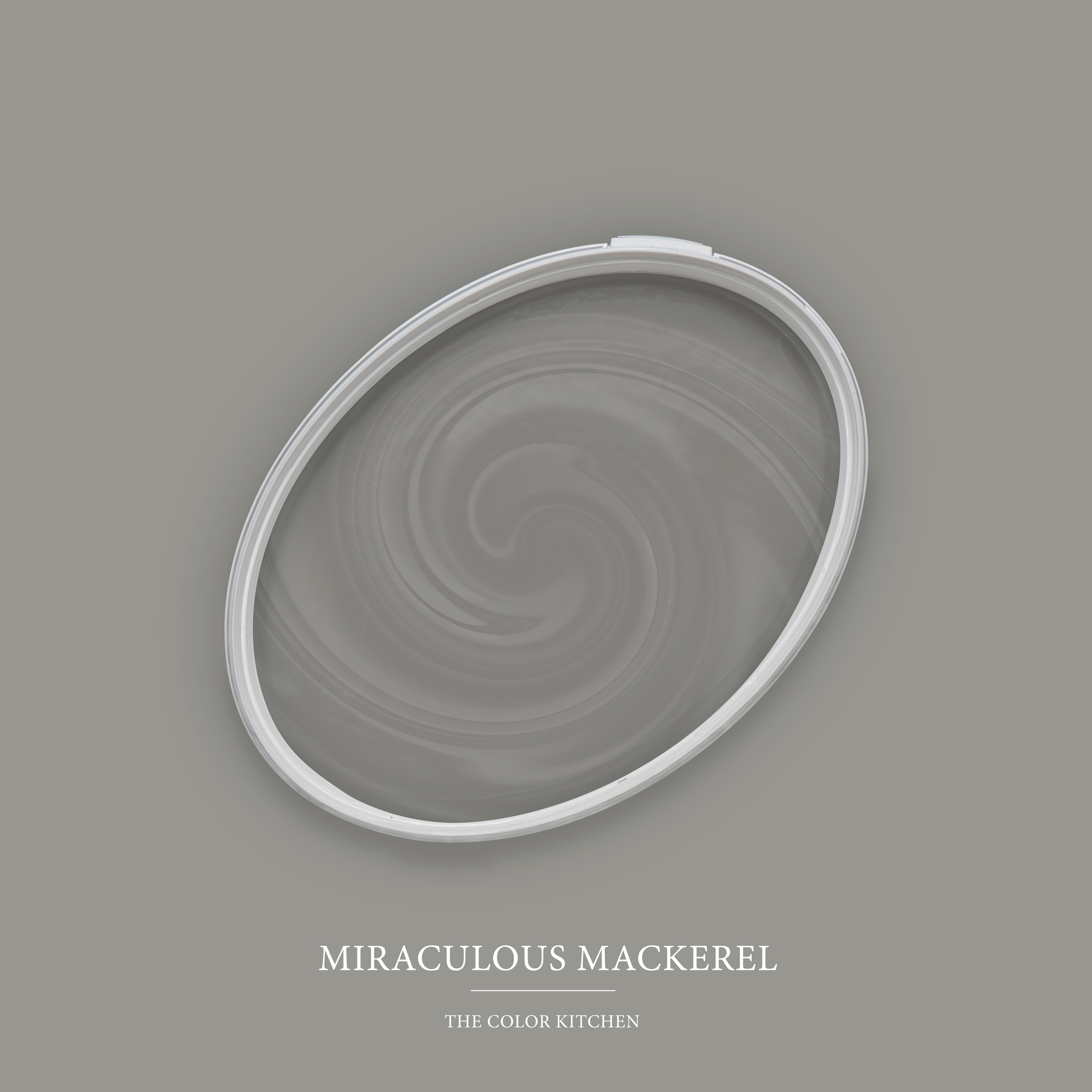 AS Wandfarbe The Color Kitchen TCK1012 Miraculous Mackerel