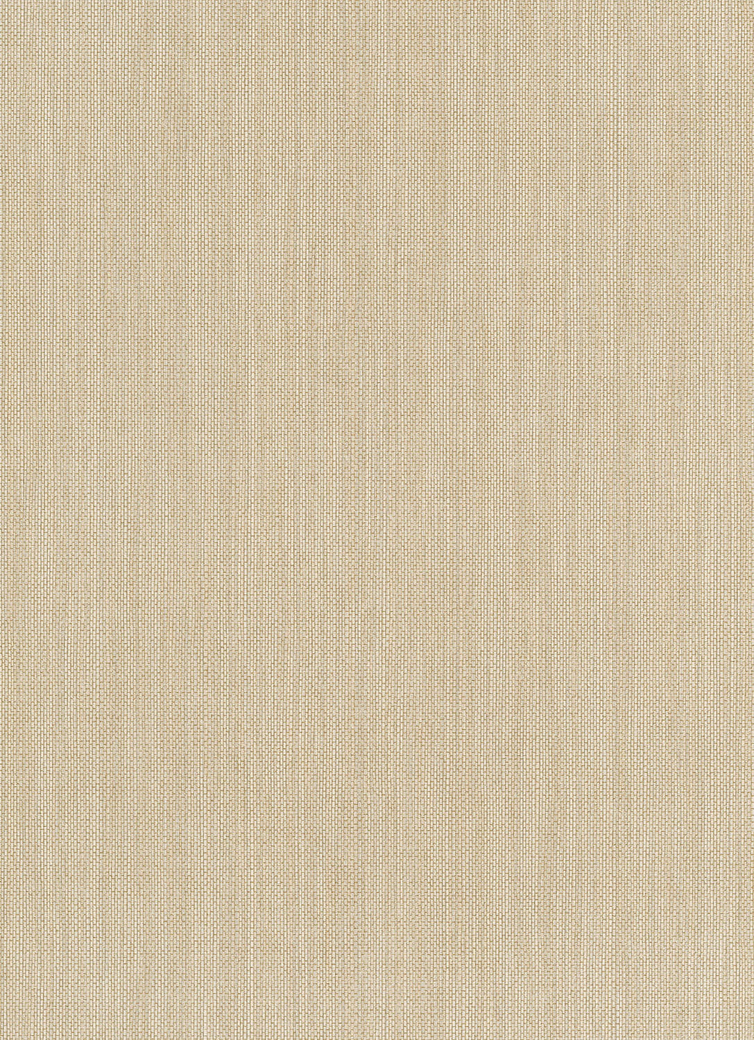 Erismann Vliestapete Paradisio 2 beige 630902