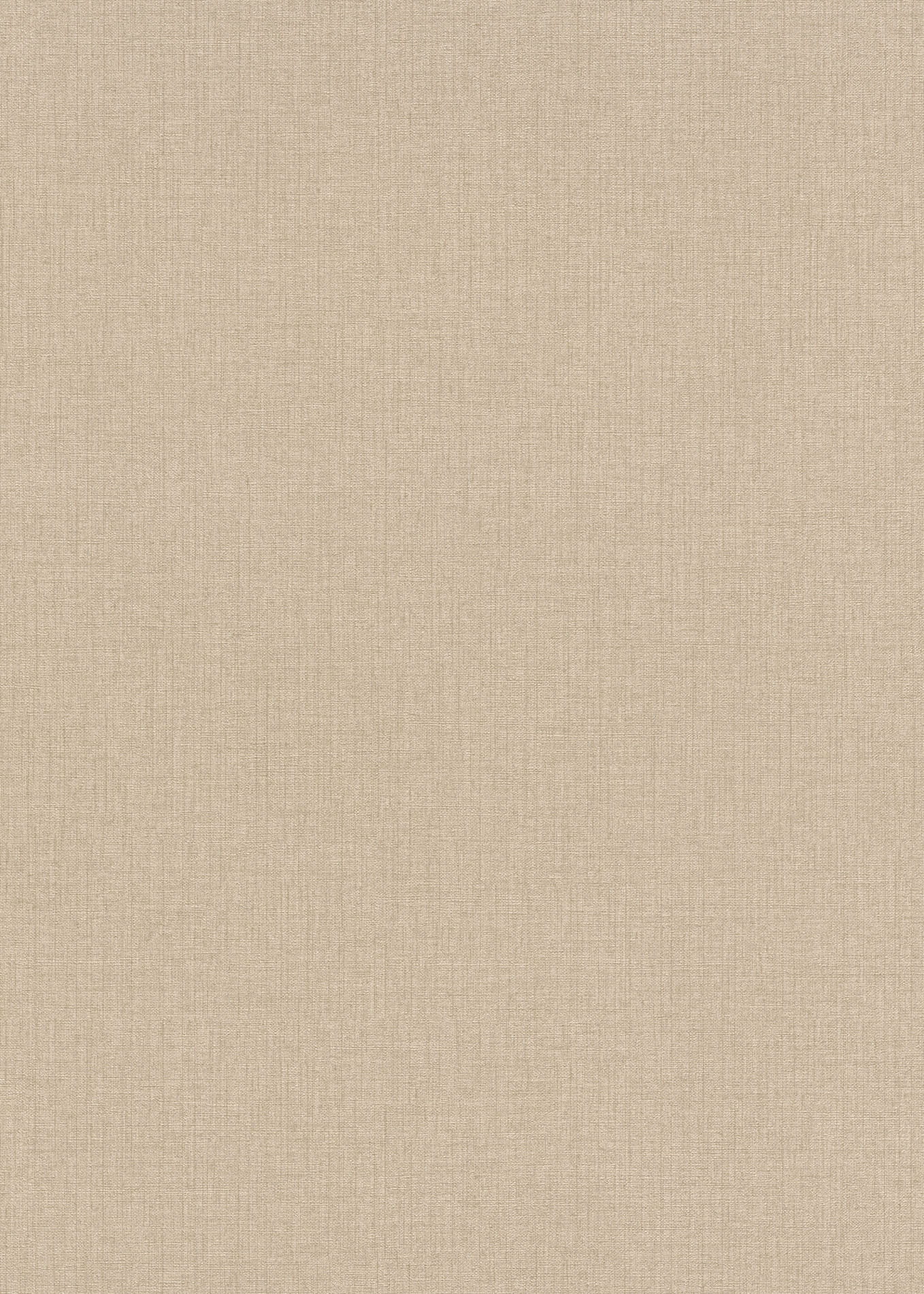 Erismann Vliestapete Code Nature beige/creme 1021525